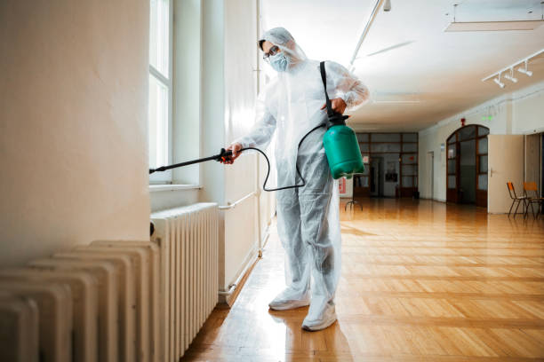 Real Estate Pest Inspections in Fort Polk South, LA